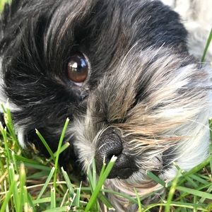 Meet your Posher, Dan